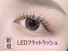 【束感】［低刺激+持ちup!] LEDフラットラッシュ100本　￥6000