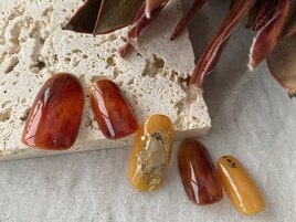 10月ニュアンス定額コース