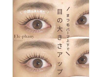 エレファニー(Ele phany)の写真