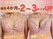 バストサロン メルベイユ(Merveile)