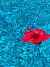 アイラッシュ ニコリ 南林間店(NICORI)&nbsp;minami 