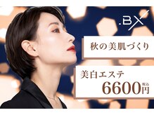ビーエックス(.BX)