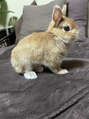 ファッショニスタ 恵比寿東口(Fashionista) うさぎ飼ってます!日々の癒しです♪