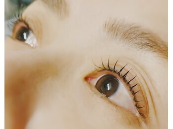 ルピカ(Rupica)/パリエク