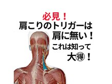 マドカヨガビューティーオフィス(MADOKA YOGA BEAUTY OFFICE)の雰囲気（肩こりや不調の仕組みを熟知したセラピスト、トレーナー陣が担当）
