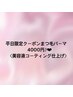 【平日限定クーポン】先着順★通常6600円→4000円