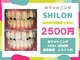 シロン(SHILON)の写真