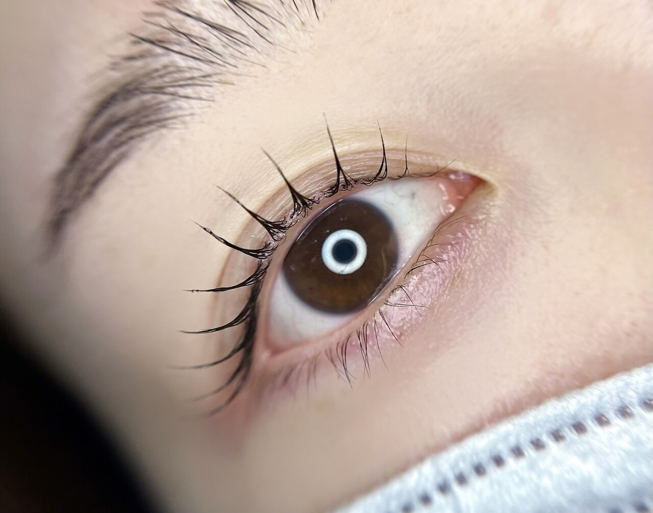 fairy lash バービーeye 下まつげ　まとめ売り バービーアイラッシュ(Barbie Eyelash)｜ホットペッパービューティー