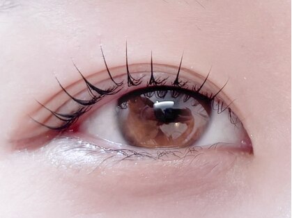 アルバ(ALBA)の写真