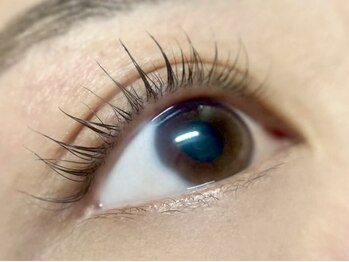 エスーガ(ESUGA)/