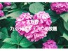 【大好評☆フェイシャル&ボディつめ放題】120分¥13500