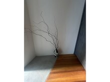 シンクテーブル(Think Table)の雰囲気（季節の植物を入れていこうと思います♪）