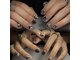 ハルネイル(Haru Nail)の写真