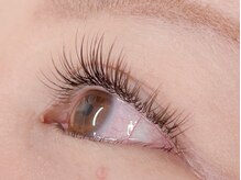 メグミノマツゲ/【パリエク】始まりました♪