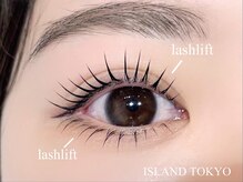 アイランド トーキョー(ISLAND TOKYO)/上下ラッシュリフト