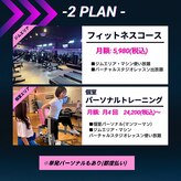 アネラフィット(ANELA Fit)