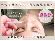 ルミエール 円山裏参道forestside店
