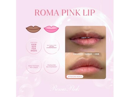 ローマピンク 札幌の写真