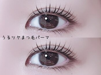 リノ(Lino)/うるツヤまつ毛パーマ
