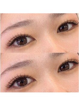 ダリア(DAHLIA)/フラットラッシュ100本