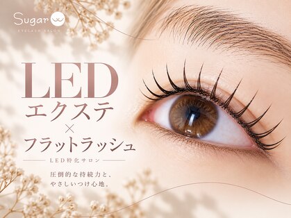 シュガー 海老名店(Sugar)の写真