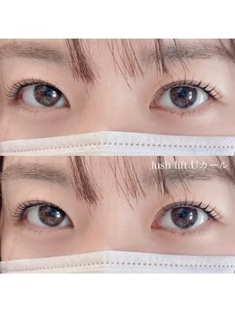 ノーチェ(noce)/ラッシュリフトUカールロッド