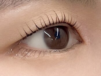 アルボーテ ルジェ 芦屋(Art BeAute' ROUGET)/ぱっちりラッシュリフト