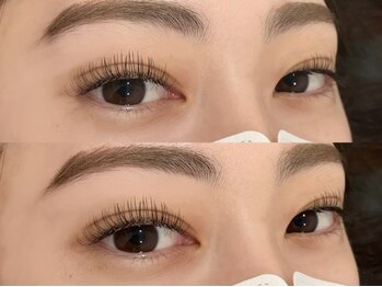 エルドット 八尾店(L.)/フラットラッシュ120本