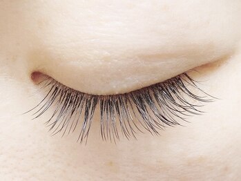 カラーアイラッシュ(Color eyelash)の写真/自まつげに馴染む自然でナチュラルなまつげエクステであなたも横顔美人に…♪丁寧な施術でモチもUP◎