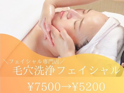 クイーン(Queen)の写真