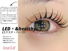アネラ 柏(Anela)の雰囲気（まつげが細い方もくっきりまつげに♪&healthy<柏徒歩４分>）