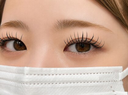 アルセ(Arce)の写真