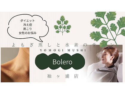 ヨサパーク ボレロ(Yosa Park Bolero)の写真
