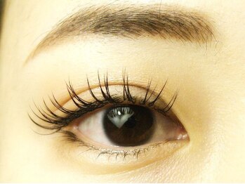 ネスト(Nest)/キュートデザイン　140本