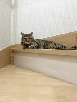 エスポリー(ESPORY)/