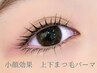【☆平日限定☆彡デカ目ぱっちり効果!!!】★上下まつげパーマ　¥8500→￥8000