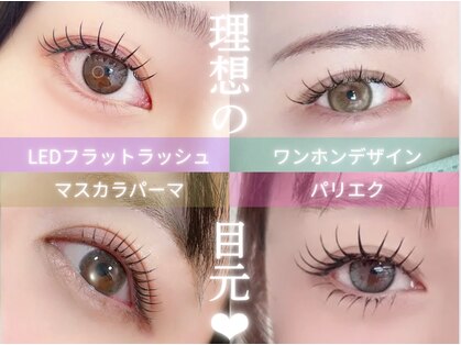 カリーナ(Carina)の写真