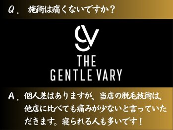 ザ ジェントルヴァリー 本町(THE GENTLE VARY)/痛みが不安な方へ