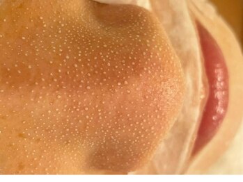 モーヴ 藤沢(MAUVE)/