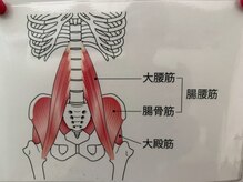 さくら整体院 屏風浦院/インナーマッスルご存じですか？
