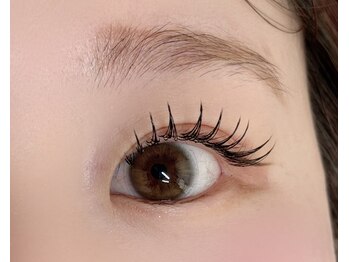 チャム(chum)/ LED120本