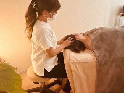 ウェリナ(Welina)の写真