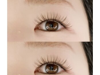 ビレイナ(BIREINA)/＊ダブルフラット80束（カラー）