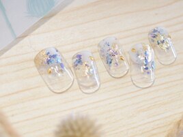 selectJ8月シェルきらきら