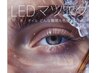 期間限定!!【圧倒的モチ◎LEDマツエク】フラットラッシュ120本（オフ込）