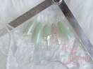 定額Bコース