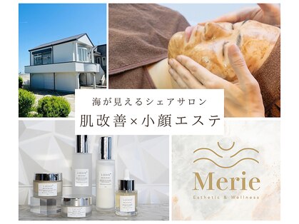 ネーム(Nemu)の写真