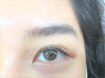 ティーラッシュ(T lash)/パリジェンヌラッシュリフト☆