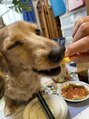 チャロム(Charom) ダックスフンドの愛犬ちゃん♪