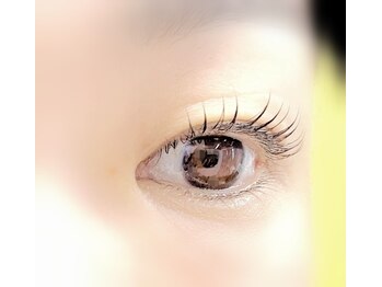 シエル(Ciel)/ラッシュリフト(まつ毛パーマ)